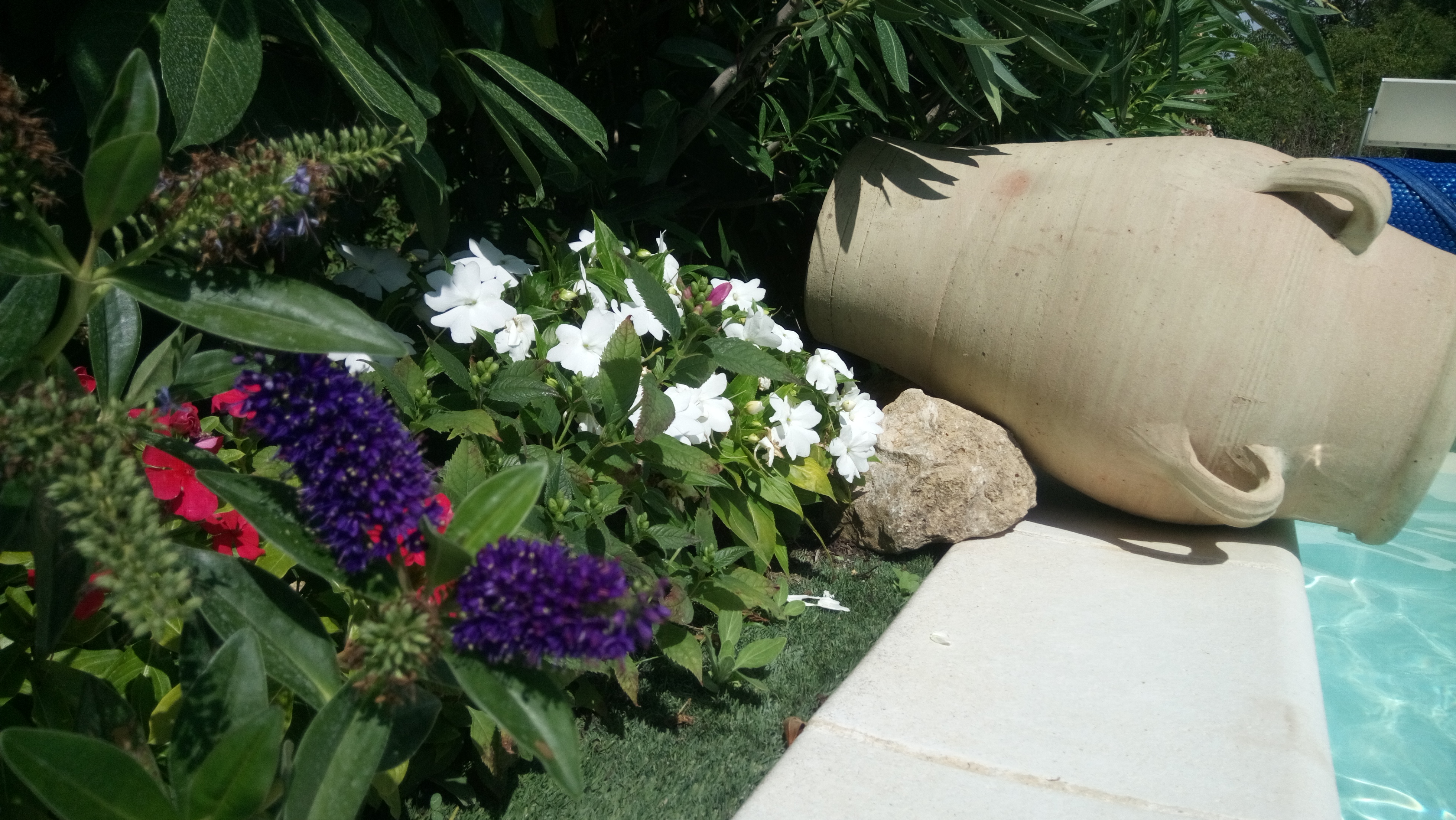 Description de l'image